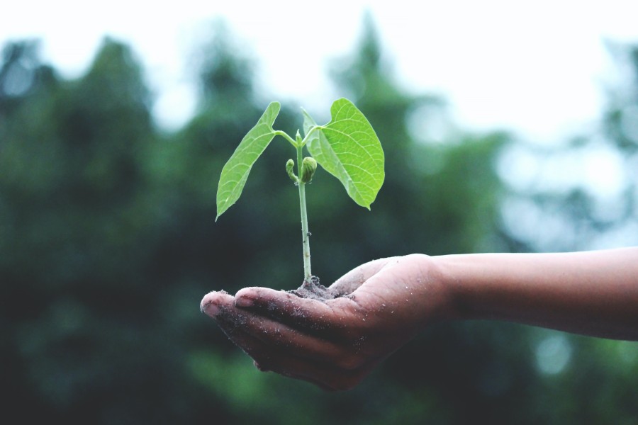 Beyond Pest Control: Empowering Pakistan’s Industries with Sustainable Solutions for a Greener Tomorrow-Pest Orbit Commitment to Environmental Safety