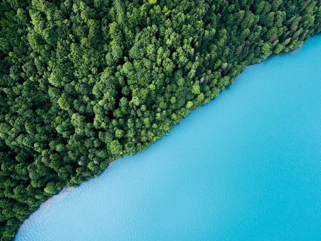 Environmental stewardship and green initiatives