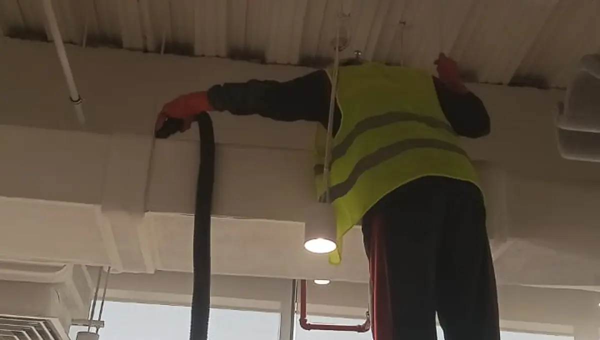 Pest Orbit technician vacuum cleaning at height in a corporate office